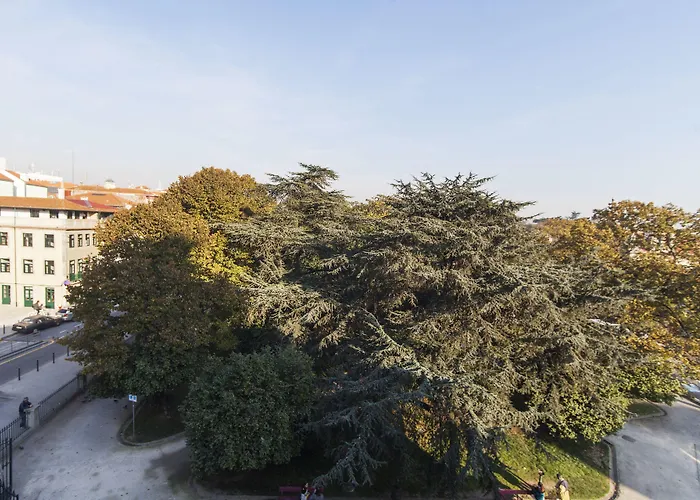 View - Sao Lazaro بورتو